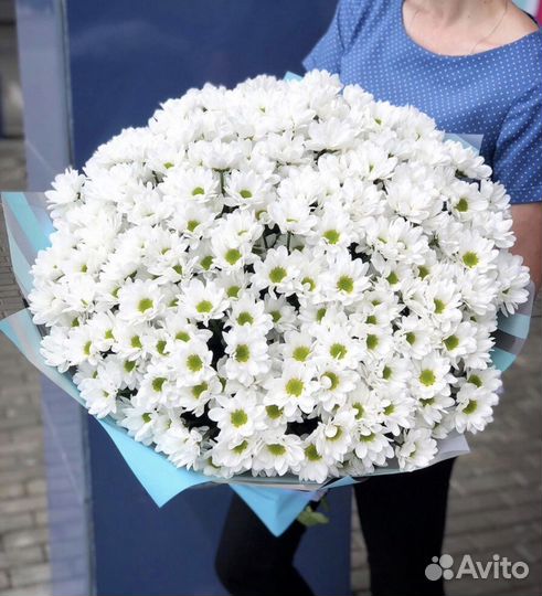 Хризаниема Букеты из хризантем