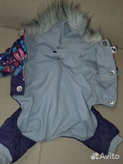 Одежда для собак