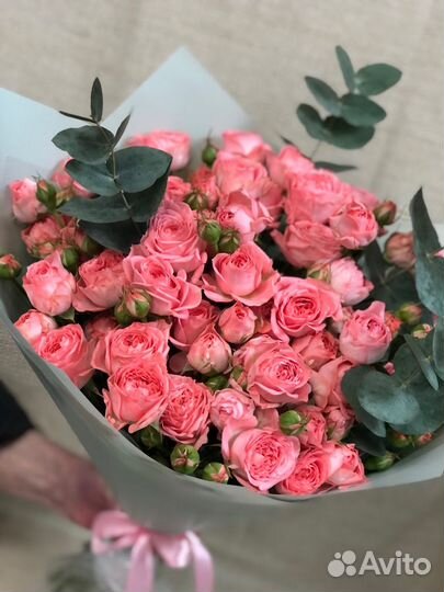 Розы Кустовые 9 11 15 25 35 51 101 роза