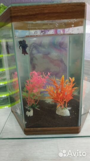 Аквариум