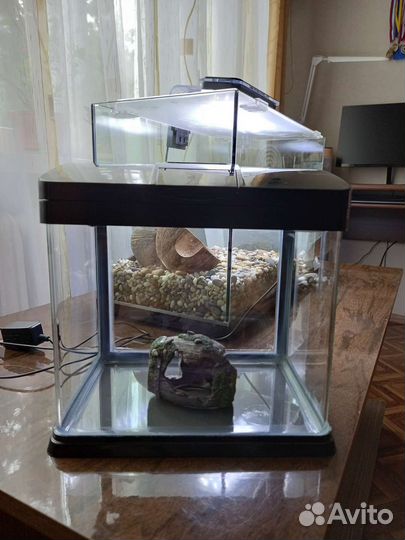 Аквариум