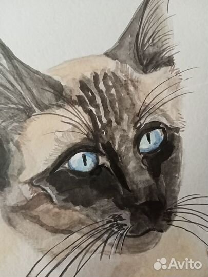 Акварель кот сиамский