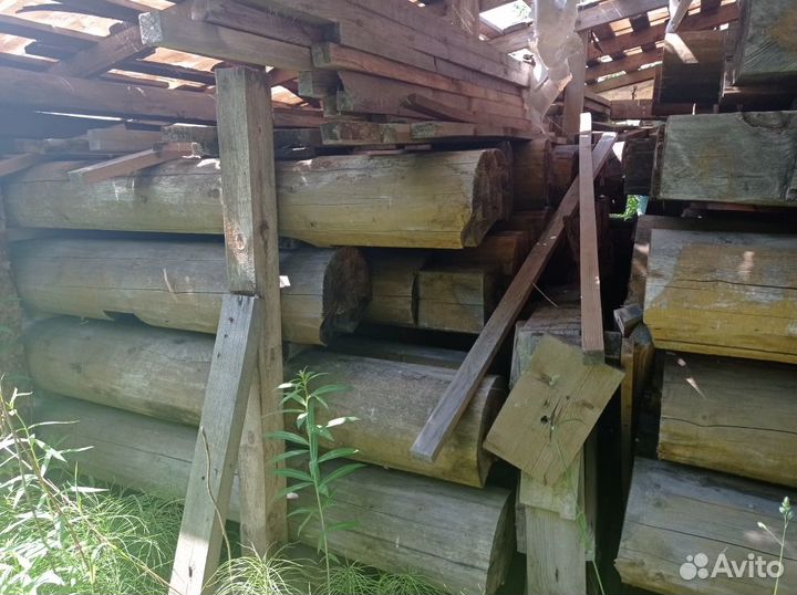 Кедр сибирский сухой