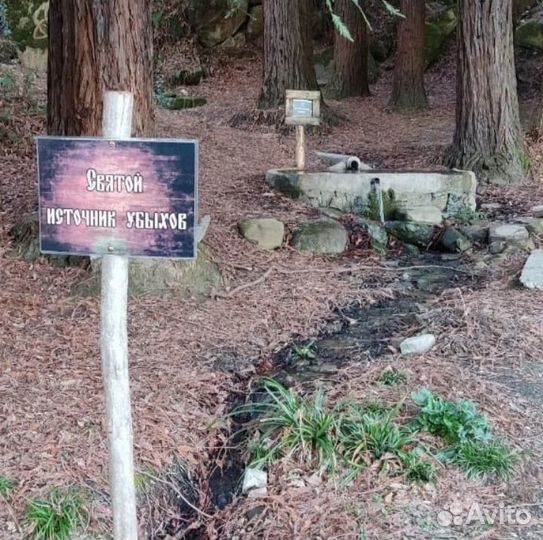 Кудепстенское Лесничество