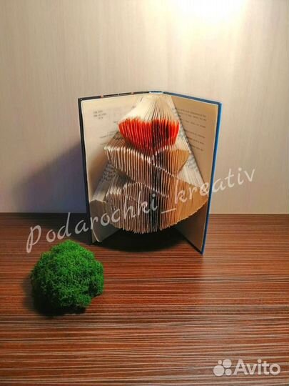 Сувенир из книги