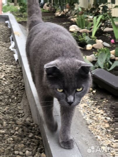 Тротуарная плитка брусчатка 100.200.60 серая