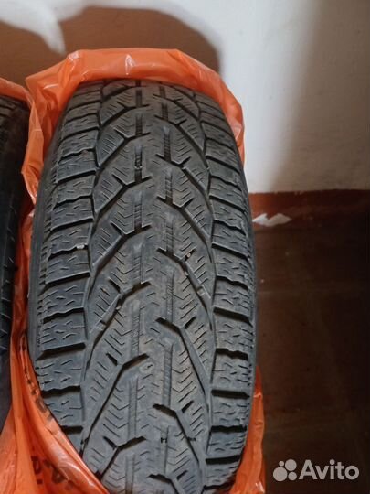 Tigar Winter 185/60 R15 88T