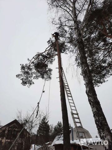 Сад благоустройство