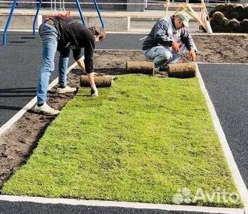 Гидропосев