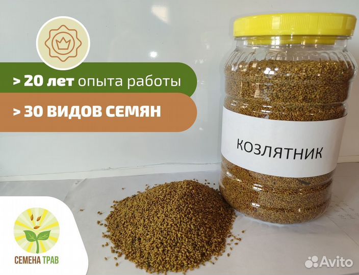 Семена козлятника