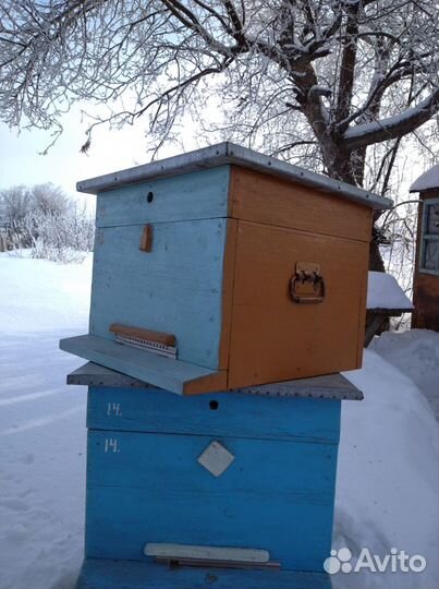 Ульи для пчел