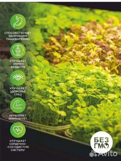 Набор контейнеров с ковриками