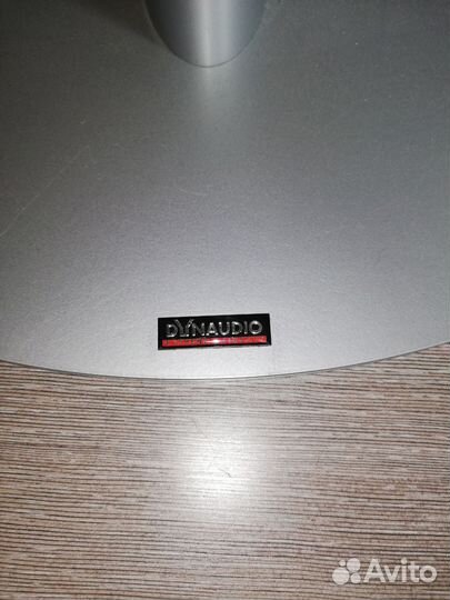 Dynaudio stand 1