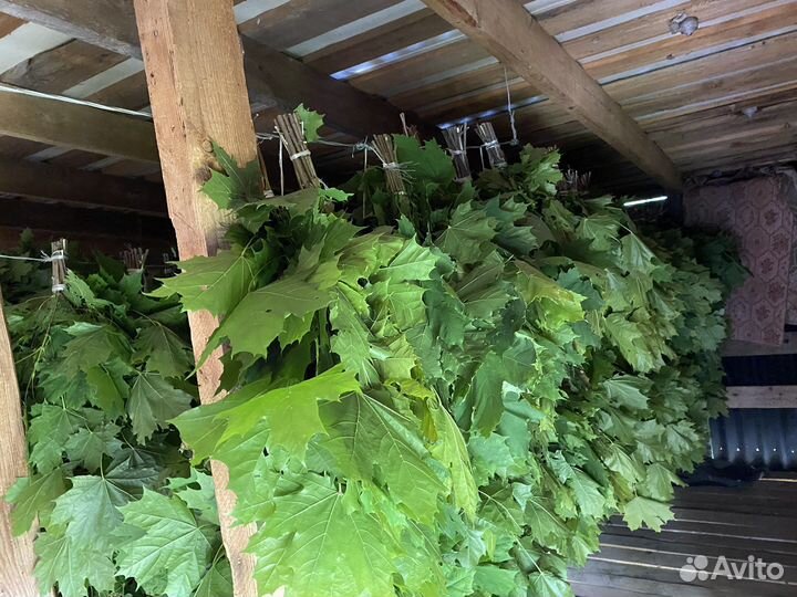 Веники и травы