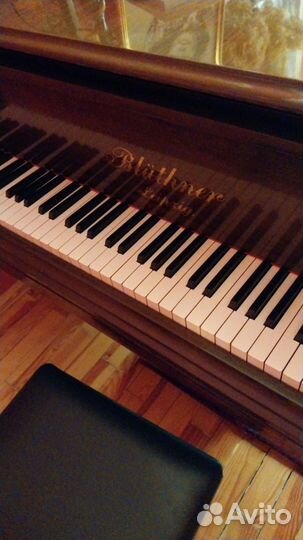 Рояль bluthner