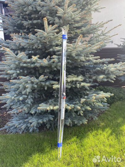 Беговые лыжи fischer