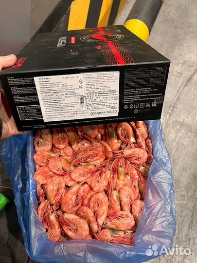 Дикая магаданская креветка,Ботан,медвежонок