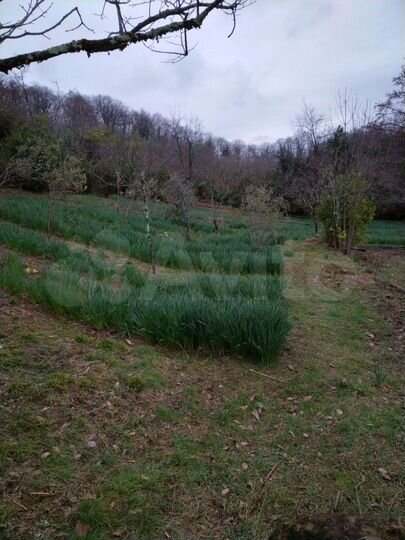 Участок 1 сот. (ИЖС)