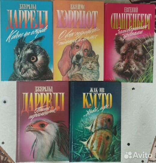 Энциклопедия