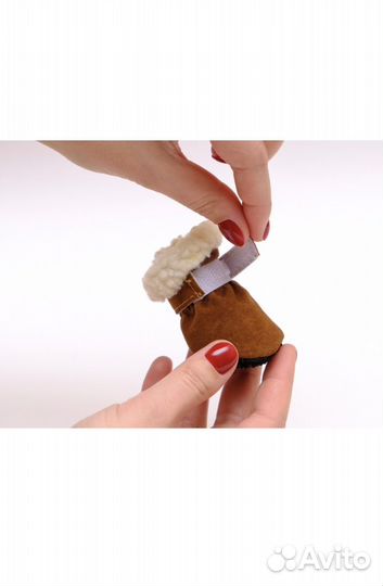 Сапоги для собак