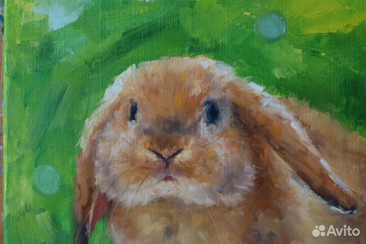 Картина маслом на холсте Рыжий Кролик