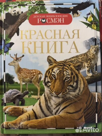 Детские книги. Энциклопедии