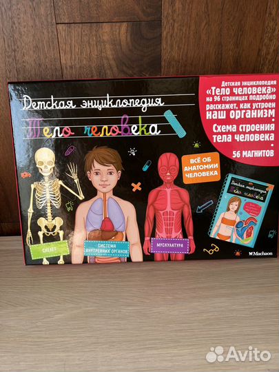 Детская энциклопедия Тело человека