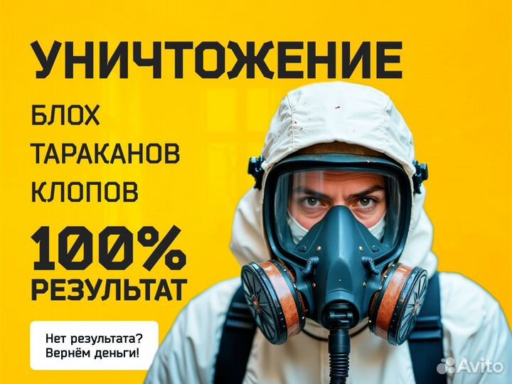 Дезинфекция Уничтожение плесени, грибка