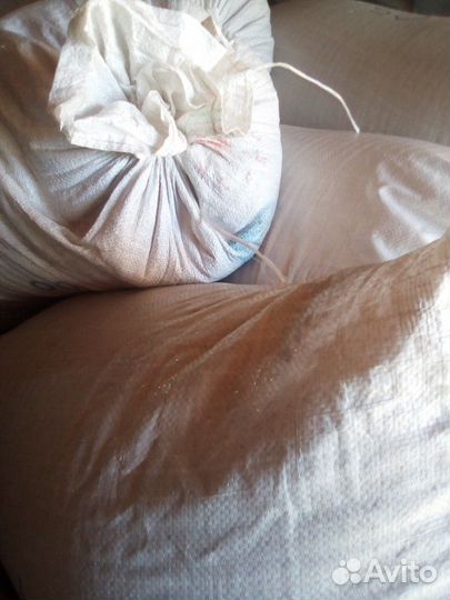 Пшеница, ячмень, овёс