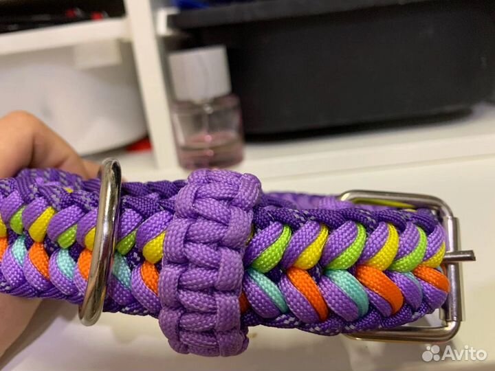 Ошейник для собак.паракорд.браслет