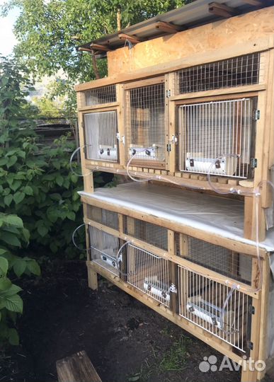Клетка для домашнего кролика