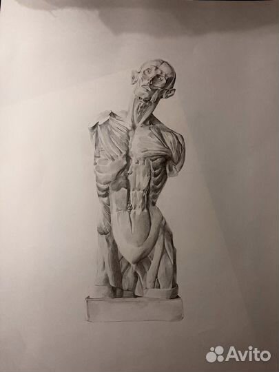 Академический рисунок/портреты/живопись