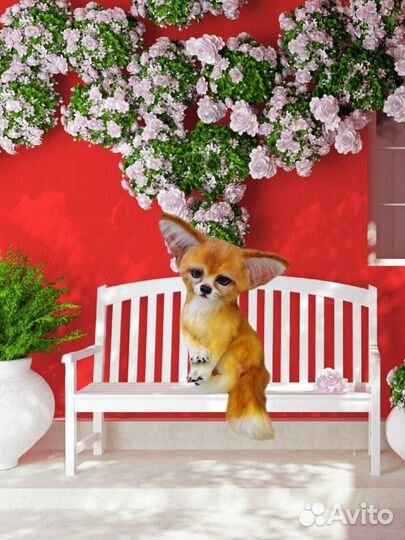 Лисенок Фенек (ручная работа)