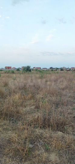 Участок 25 сот. (ИЖС)