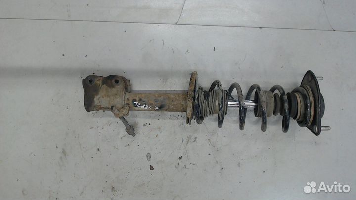 Амортизатор подвески Mitsubishi Colt, 2005