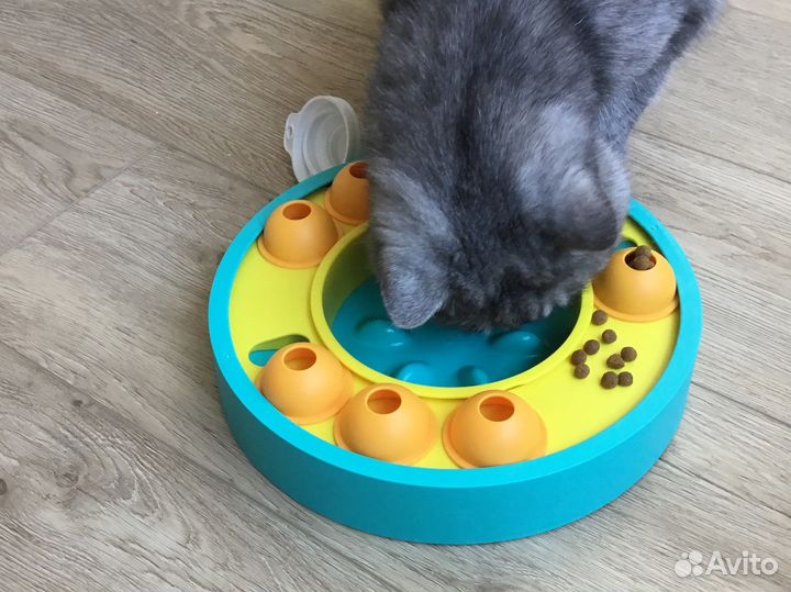 Кормушка- игрушка