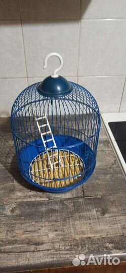 Клетка для попугая бу