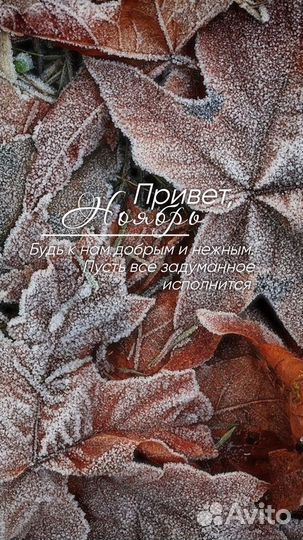 Шапка чепчик вязаная с ушками(В наличии)