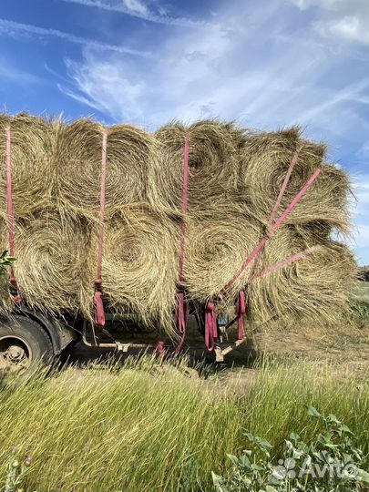 Сено луговое разнотравье 2023