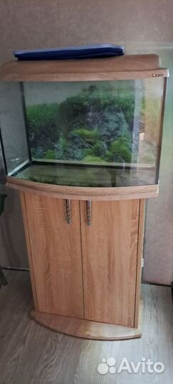 Аквариум +тумба