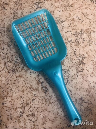 Все что нужно для котенка