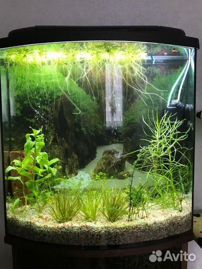 Грунт для аквариума