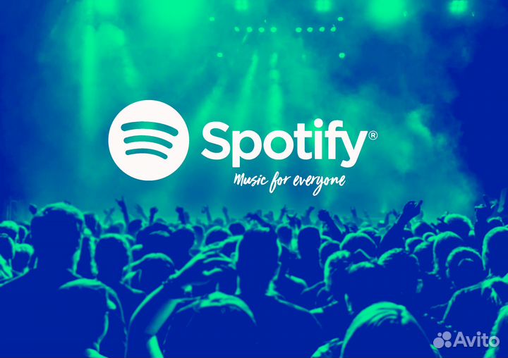 Spotify Premium на 3/6/12 месяцев