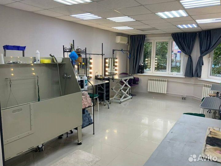 Аренда рабочего места для Грумера