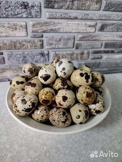 Яйца перепелиные