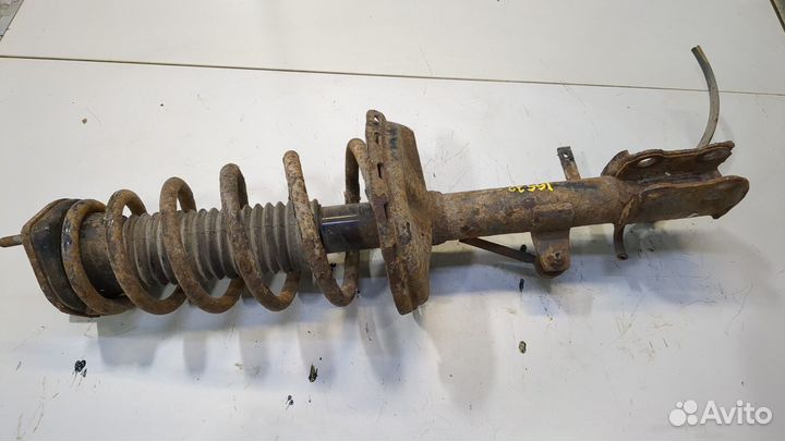 Амортизатор подвески Toyota Venza, 2009