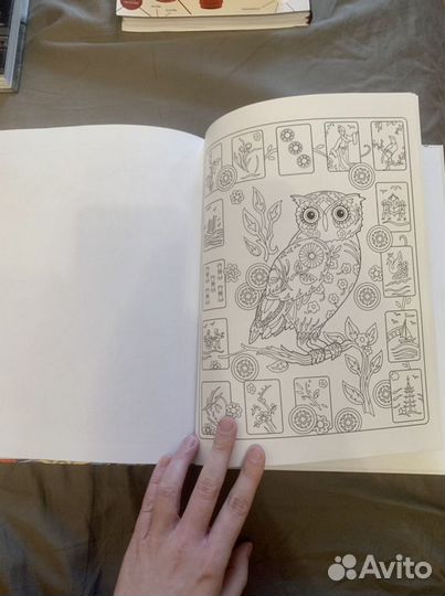 Совушки. Раскраски, поднимающие настроение