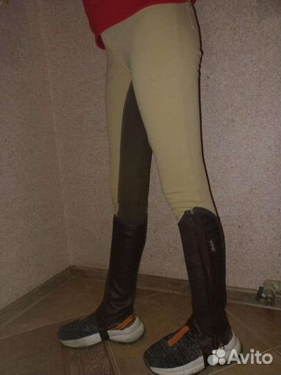 Конная амуниция