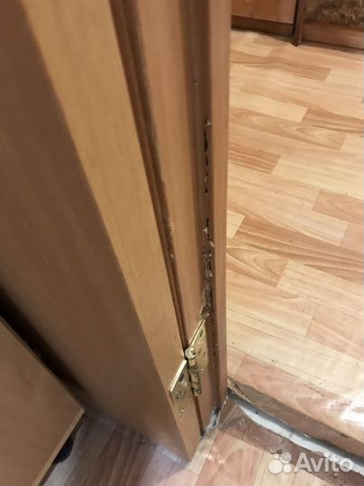 Отдам даром бесплатно