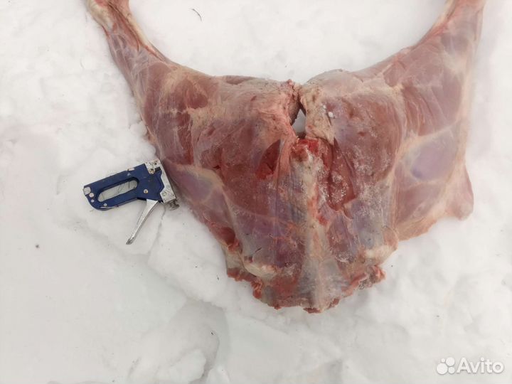 Мясо для собак